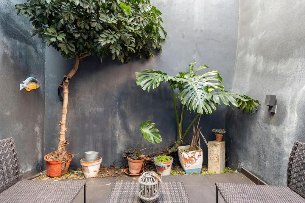 16 Rc - Central Lisbon Patio Εξωτερικό φωτογραφία